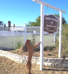 Dog stands up on Sign